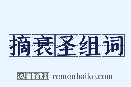 摘衰圣组词是什么意思的图片